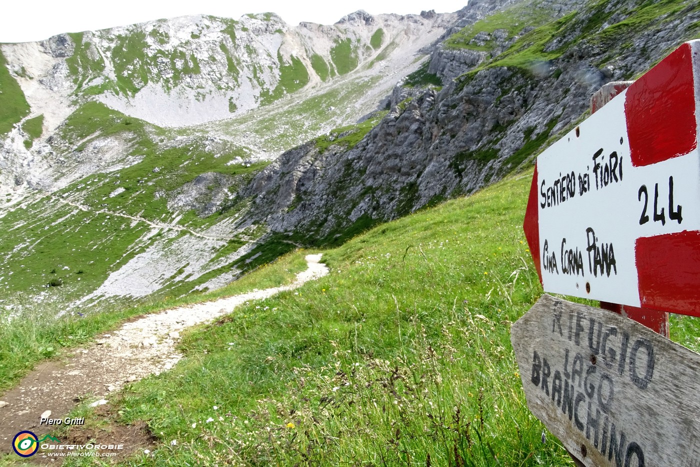 18 Seniero dei fiori 'alto' 244 fino al Passo di Corna Piana.JPG